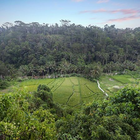 Black Penny Villas Ubud Luaran gambar