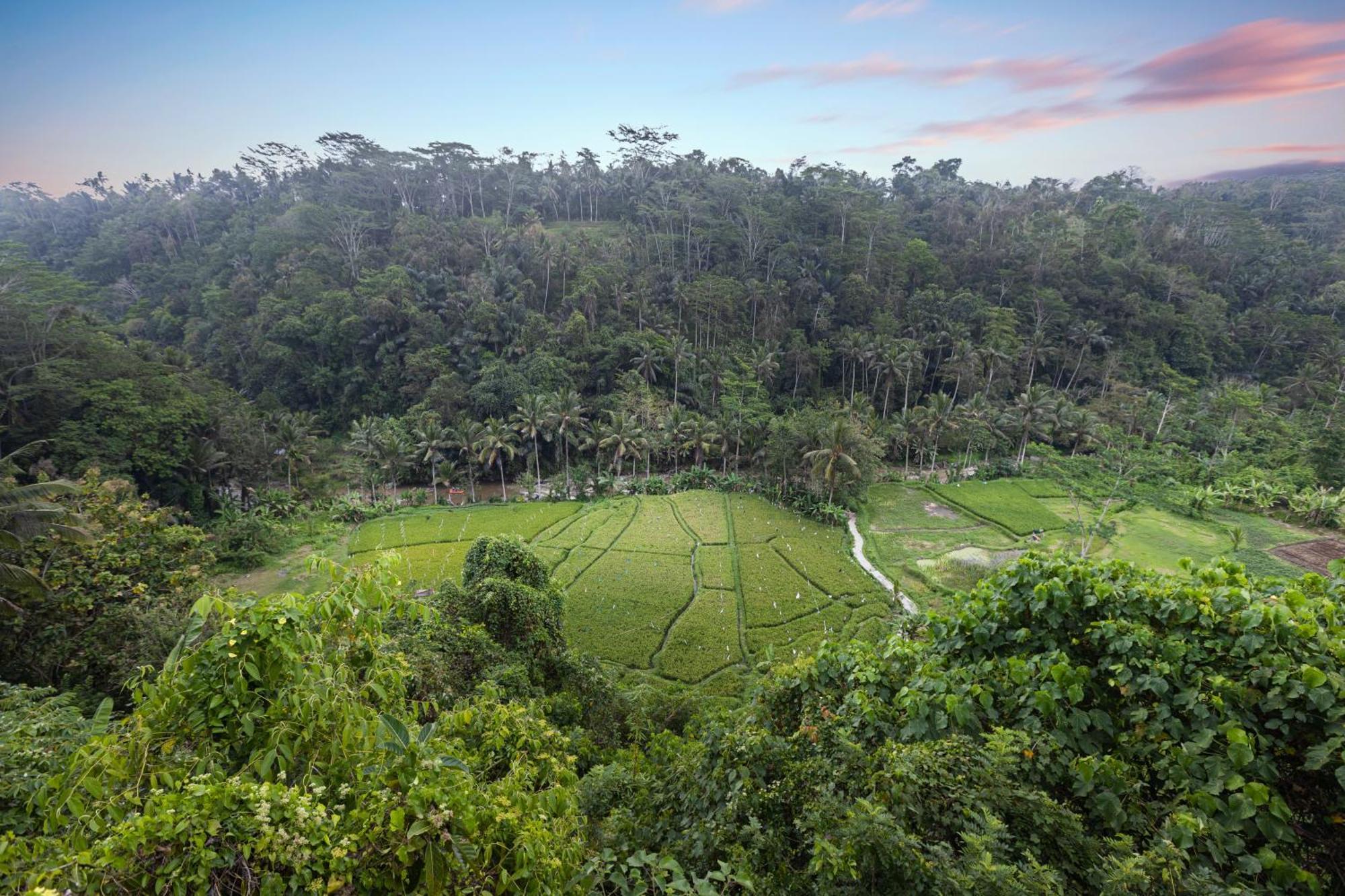 Black Penny Villas Ubud Luaran gambar